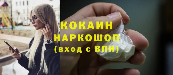 стафф Новозыбков