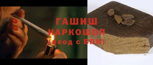 стафф Новозыбков