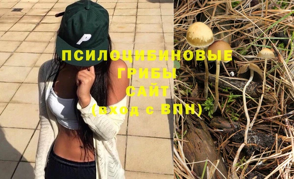 ECSTASY Новокубанск