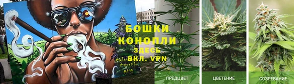 соль ск Вязники