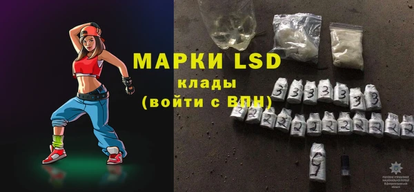 стафф Новозыбков